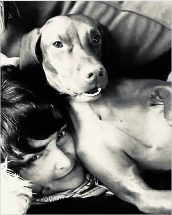 Harper, the CBD poster dog!